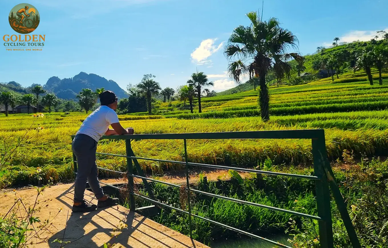 3-Day Thai Nguyen Backroad Cycling Tour: Ban Ten, Tea Hills & Nui Coc